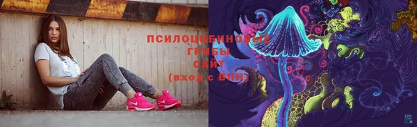 мдпв Арсеньев
