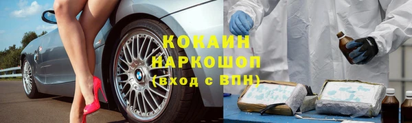 a pvp Аркадак