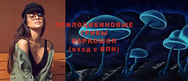 a pvp Аркадак