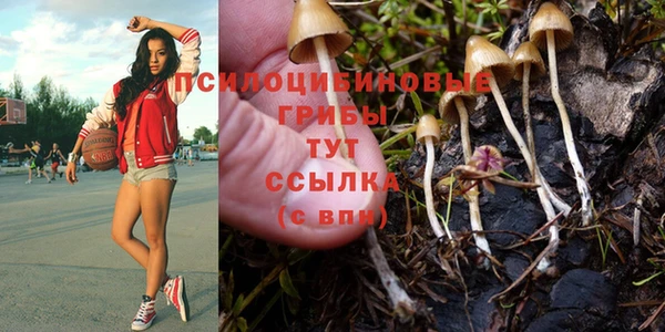 мдпв Арсеньев