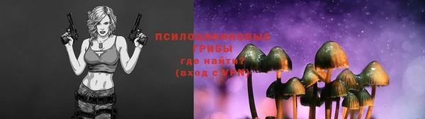 хмурый Алексин